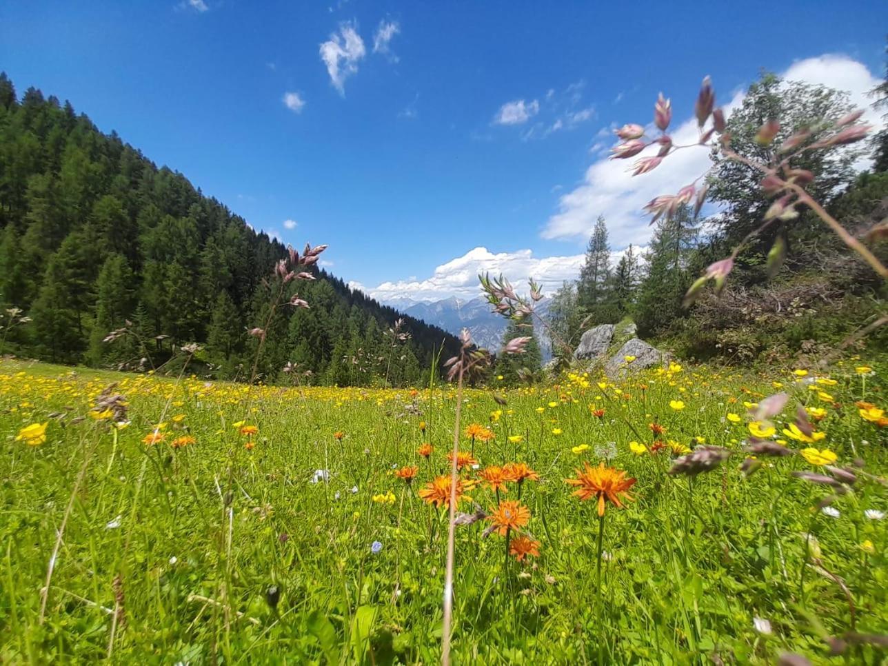 Ferienwohnung Goetzner Auszeit İnnsbruck Dış mekan fotoğraf