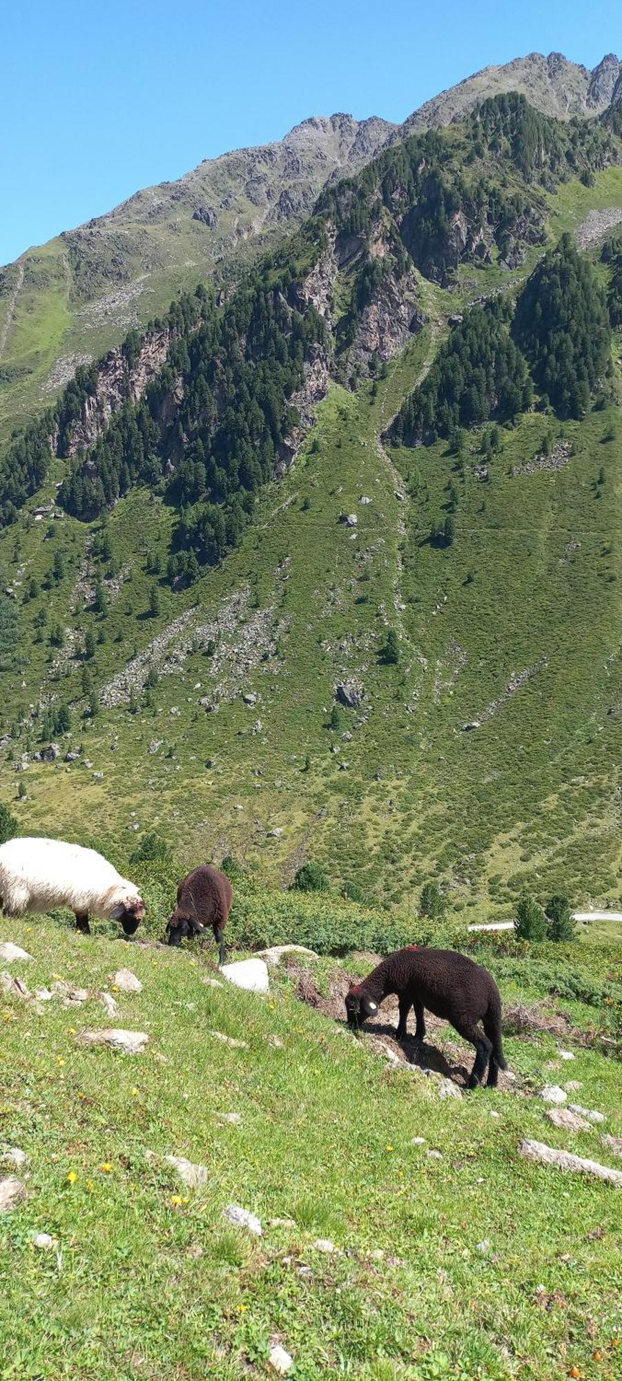Ferienwohnung Goetzner Auszeit İnnsbruck Dış mekan fotoğraf