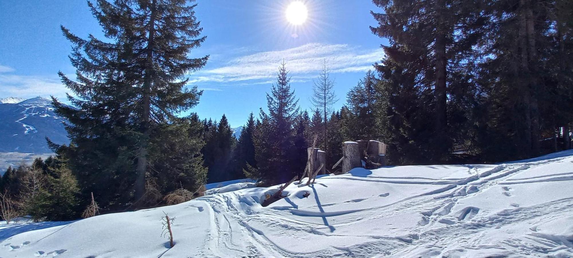 Ferienwohnung Goetzner Auszeit İnnsbruck Dış mekan fotoğraf